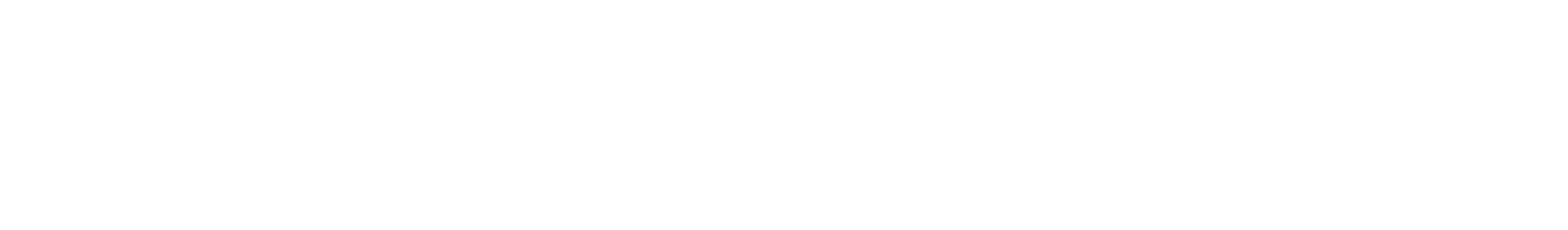 Netstock-Logo2 (1)